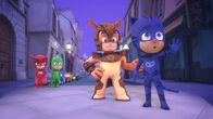 PJ Masks - Pyjamahelden – PJ Masks - Pyjamahelden (2019)