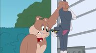 Die Tom und Jerry Show – Die Tom und Jerry Show (2019)