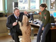 Der Dicke – NDR Fernsehen DER DICKE, "Getrennte Wege" Uhr. Gregor Ehrenberg (Dieter Pfaff, l.) und Yasmin (Burcu Dal, r.) sind ganz vernarrt in Hund Teddy, der ihnen zugelaufen ist.