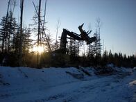 Holzfäller extrem – Fr, 01.03., 04:00 Uhr