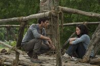 Maze Runner - Die Auserwählten im Labyrinth – Maze Runner - Die Auserwählten im Labyrinth (2014)