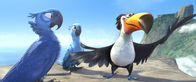 Rio – Rio (2011)