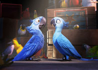 Rio – Rio (2011)
