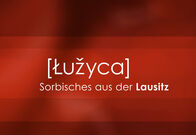 Luzyca – Luzyca (2026)