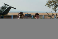 2 Guns – 2 Guns (2013)