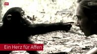 10vor10 – 10vor10 (2022)