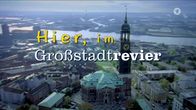 Großstadtrevier – Großstadtrevier (2017)
