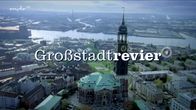 Großstadtrevier – Großstadtrevier (2017)