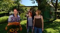 Grips Englisch – Grips Englisch (2011-2012)
