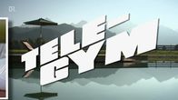 Tele-Gym – Tele-Gym (2007)