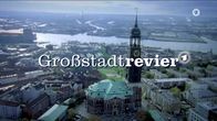 Großstadtrevier – Großstadtrevier (2019)