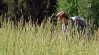 Sturm der Liebe – Sturm der Liebe (2022)