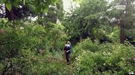 rbb Gartenzeit – rbb Gartenzeit (2023)