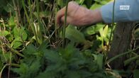 rbb Gartenzeit – rbb Gartenzeit (2023)