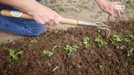 rbb Gartenzeit – rbb Gartenzeit (2023)