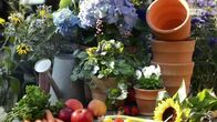 rbb Gartenzeit – rbb Gartenzeit (2023)