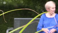 aktueller bericht – aktueller bericht (2024)