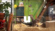 pur+ – pur+ (2015)