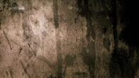 Despoten – Despoten (2015)