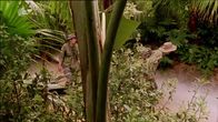 Inspector Barnaby – Inspector Barnaby (2005)