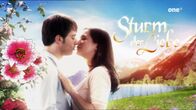 Sturm der Liebe – Sturm der Liebe (2011)