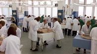 Anatomie – Anatomie (2000)