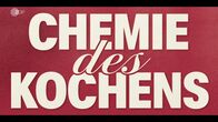 Terra X: Chemie des Kochens – Chemie des Kochens (2025)