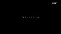 Wildland – Wildland (2020)