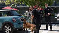 The Rookie – The Rookie (2021)