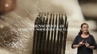 Ein Tag in... – Ein Tag in... (2019)