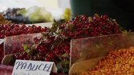 Im Bauch von ... – Im Bauch von ... (2024)