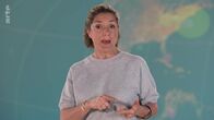 Mit offenen Karten – Mit offenen Karten (2024)