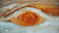 Strip the Cosmos – Strip the Cosmos (2020)