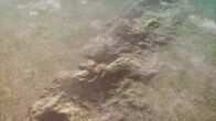 Deep Time History – Deep Time History (2016)