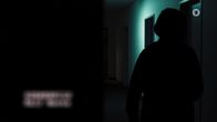Die Füchsin – Die Füchsin (2017)