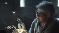 Terra X: Ein Tag in... – Ein Tag in... (2019)