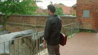 Rote Rosen – Rote Rosen (2025)