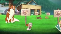 Lassie – Lassie (2010-2018)