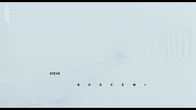 Fargo – Fargo (1996)