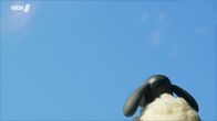 Shaun das Schaf – Shaun das Schaf (2004-2025)
