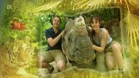 Nashorn, Zebra & Co. – Nashorn, Zebra & Co. (2013)