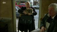 Der Dicke – Der Dicke (2005)