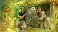 Nashorn, Zebra & Co. – Nashorn, Zebra & Co. (2013)