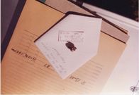 Unfall, Selbstmord oder Mord – Bullet
