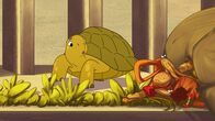 Törtel – Essen, das auf der Straße liegt? Noch nie war die Futtersuche für Schildkröte Törtel und seine Wildtier-Freunde von Müggeldorf so einfach!