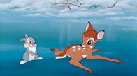Bambi – L-R: Thumper, Bambi