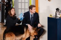 Hudson & Rex – L-R: Sarah Truong (Mayko Nguyen), Rex (Diesel vom Burgimwald), Charlie Hudson (John Reardon)