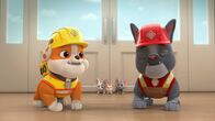 Rubble und Crew – Vorne, v.li.: Rubble, Charger
