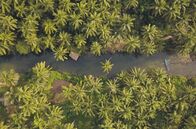 Unsere Kontinente – Für die üppige Vegetation Südostasiens sind Monsunregen verantwortlich, die mit dem Himalaya in Verbindungen stehen.