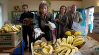 SOKO Wismar – Tatsächlich kommt die Meldung, in einem Laden ist eine Spinne zwischen den Bananen gesichtet worden. Helene versucht, das Tier zu fangen, bevor es zubeißen kann. Doch noch während der Aktion kommen Zweifel daran auf, dass Osterberg ein zufälliges Opfer der Bananenspinne geworden ist. Müssen die Ermittler doch von einem gezielten Mordanschlag auf den jungen Mann ausgehen? Nils Theede (Jonas Laux, l.), Dr. Helene Sturbeck (Katharina Blaschke, 2.v.l.), Katrin Börensen (Claudia Schmutzler, 2.v.r.), Jan Reuter (Udo Kroschwald, r.) ermitteln.